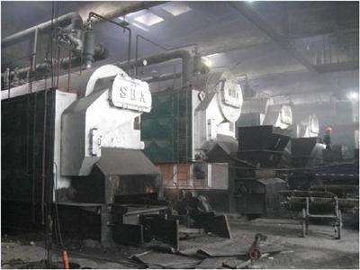 樱桃小视频在线观看大型蒸汽锅炉